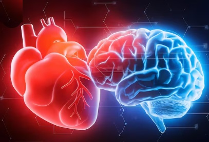 In-Home Stroke Rehabilitation